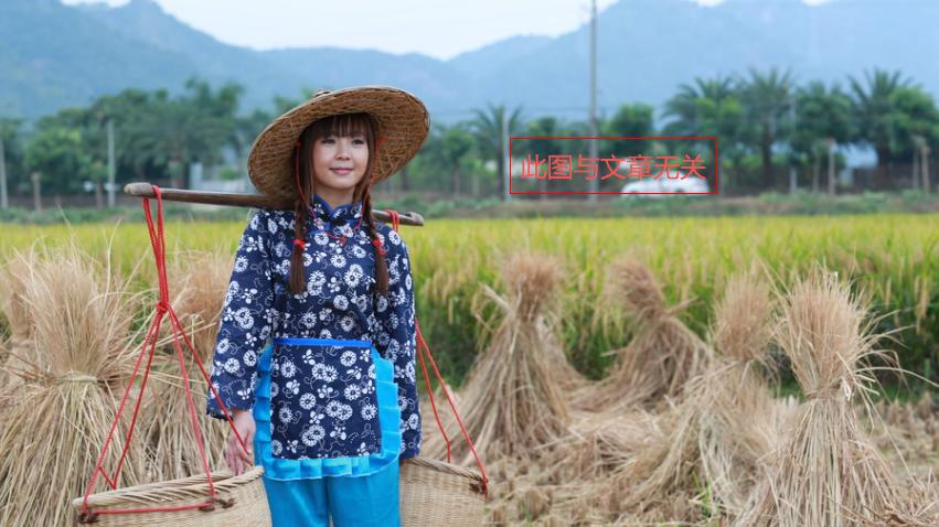 农村单调生活与女性婚外情：复杂关系剖析