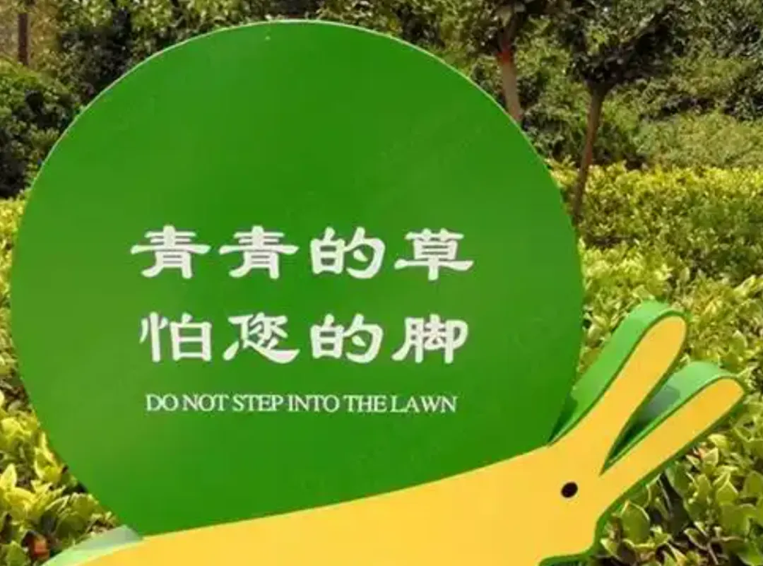 阳江狗牙根，为了中国孩子们的幸福童年