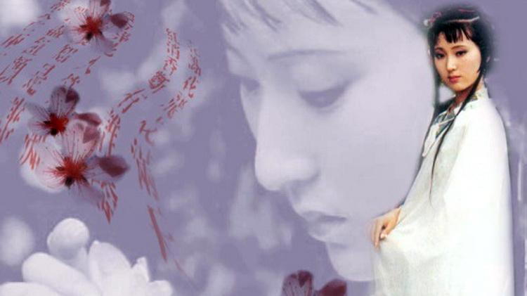 <红楼梦>读书心得体会