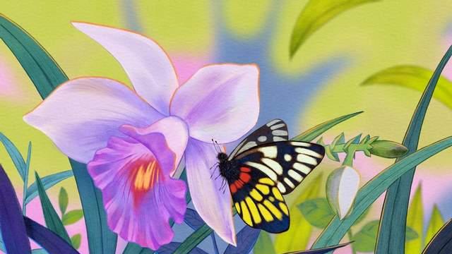 为创作加速：华为天生会画或将迎来重大更新，华为MatePad Pro 12.2 英寸即将登场