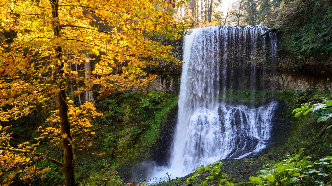 越南Sapa全攻略｜云海、梯田与高山小镇的治愈之旅