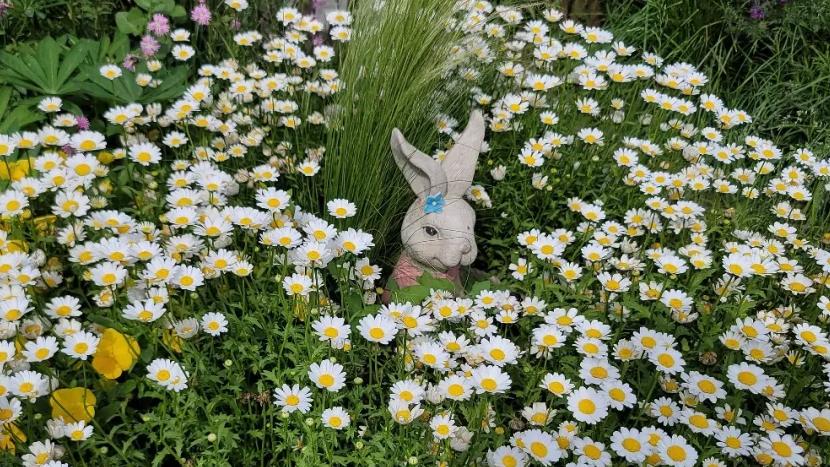 谁跟你仁慈？乌克兰摧毁苏贾天然气计量站！俄罗斯暴怒不已