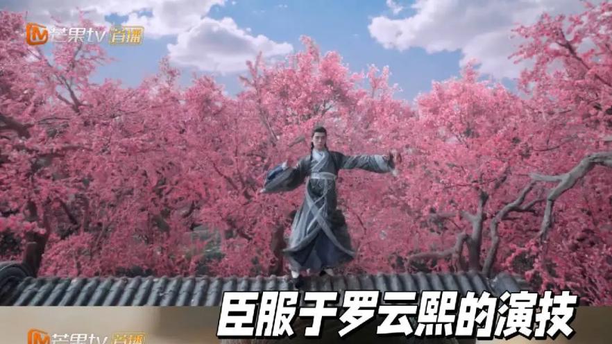 还在讨论罗云熙新剧男主人设？我已经悄悄把一整年的会员都搞定了