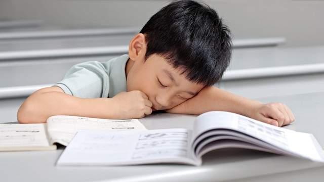 向太谈向佐的弟弟向佑哭红眼 慈母多败儿现代社会育儿该如何把握