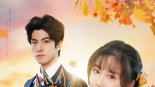 高清短剧《惊鸿掠过黄昏时》探秘 50 集惊鸿掠过黄昏时：张诗媛的风云之路