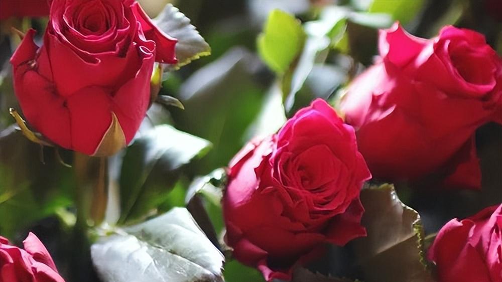 2025婚姻情感修复公司排名：十大口碑最佳的情感挽回机构