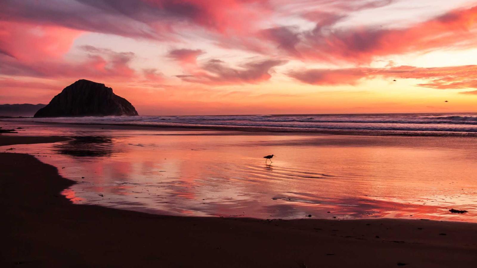 真正的领导力：让人心甘情愿地并肩前行