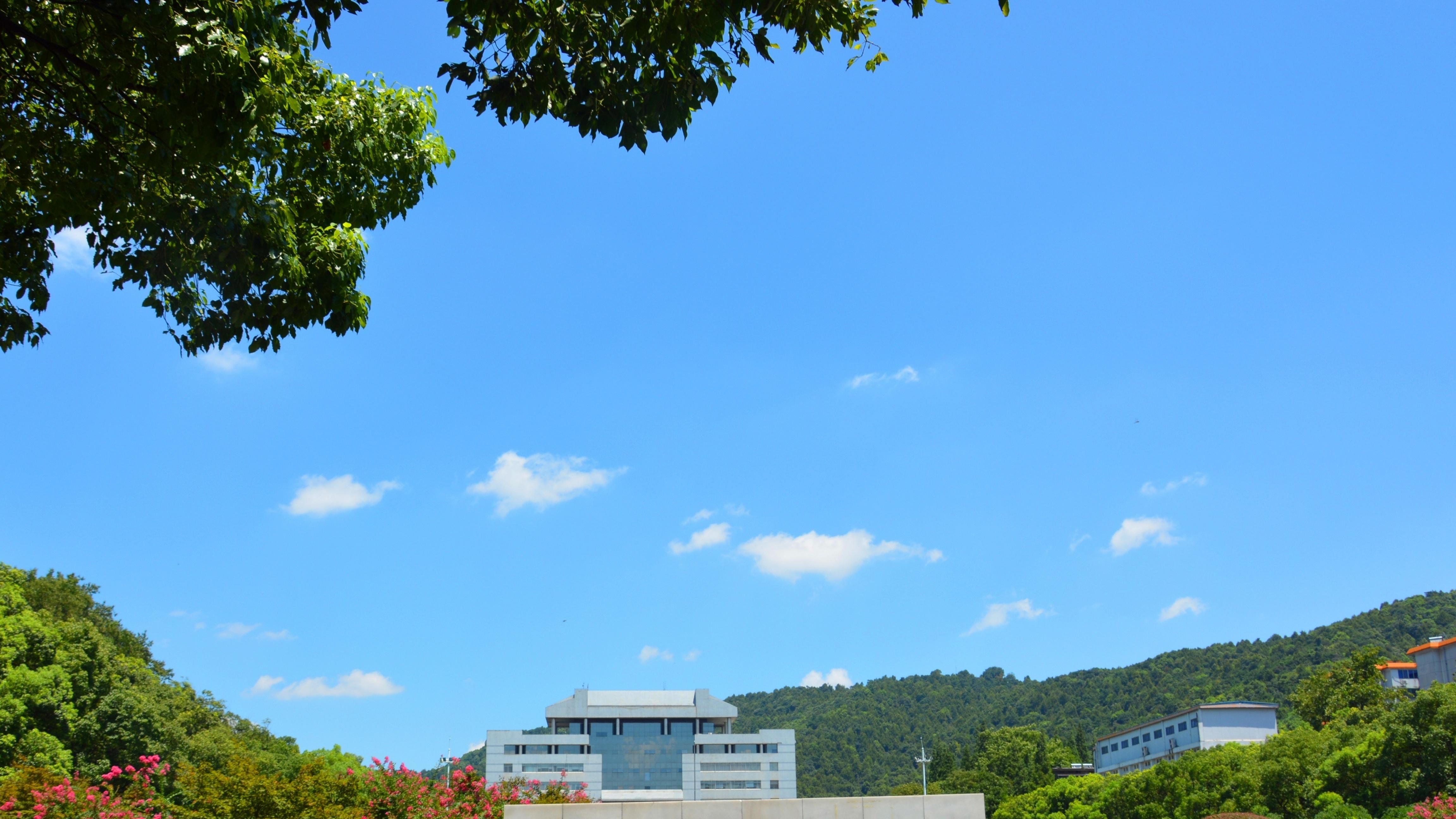 国内高校分享第33期：中南大学-中南大学藏了哪些高薪秘密？