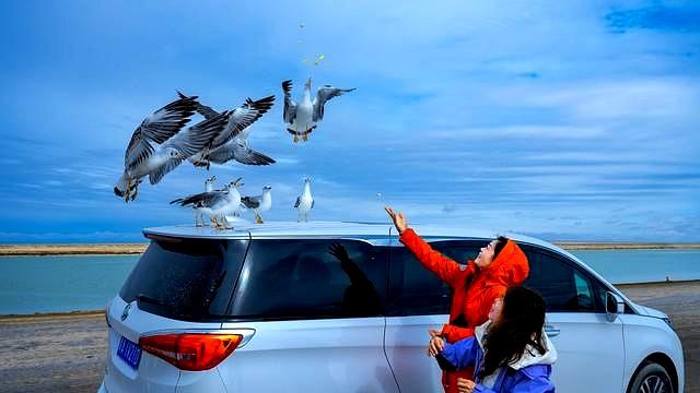 口述  他追了两千公里，把我救出来，“爸妈，女儿还给你们！”