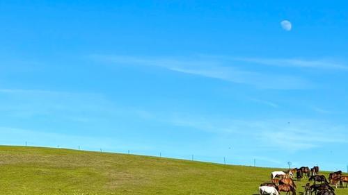 进阶版热搜标题：避开雷区，引爆传播