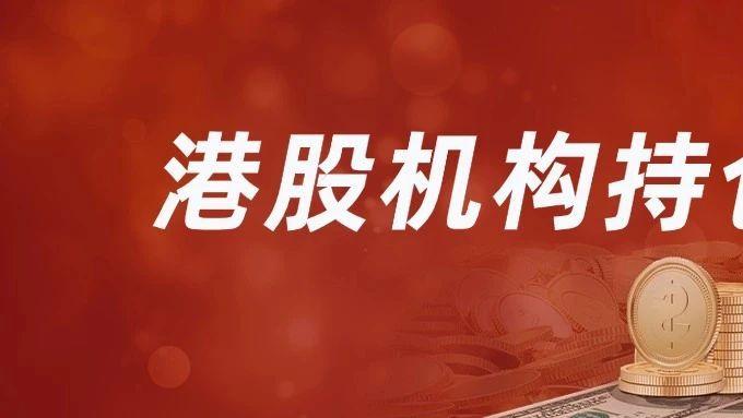 国家队港股万亿持仓曝光！贝莱德、瑞银、大摩等外资持仓高度雷同