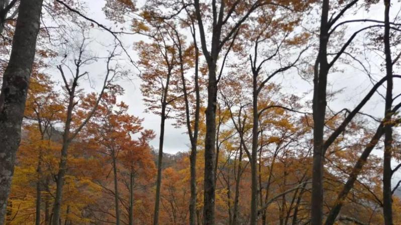 35岁后，无固定期限合同意味着什么？