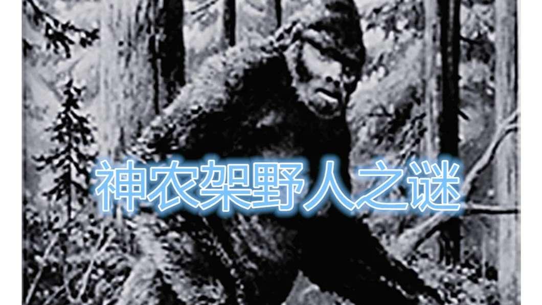 神农架捕获人面巨蝠，DNA检测含人类基因，洞穴壁画预言末日