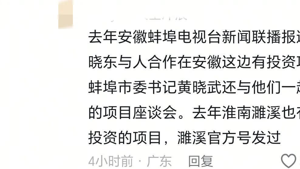 解晓东携94岁退休干部父亲考察安徽大湾村，疑似投资新项目？