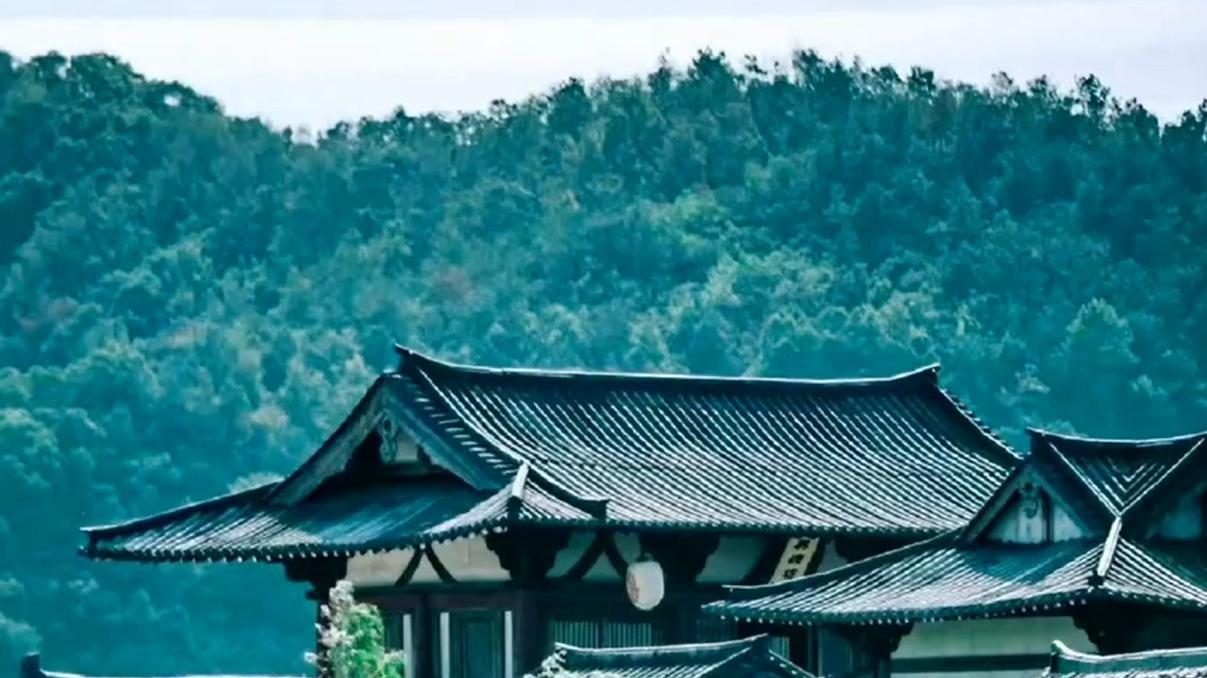 偷税风波后，沉寂三年，宋祖儿携《无忧渡》强势回归？