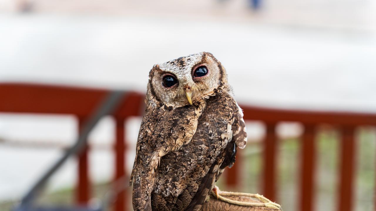 老祖宗留下的26个识人术，太准了！
