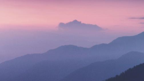 2010年我婉拒连长聚会邀请，看到连长给我寄来的照片，我哭了