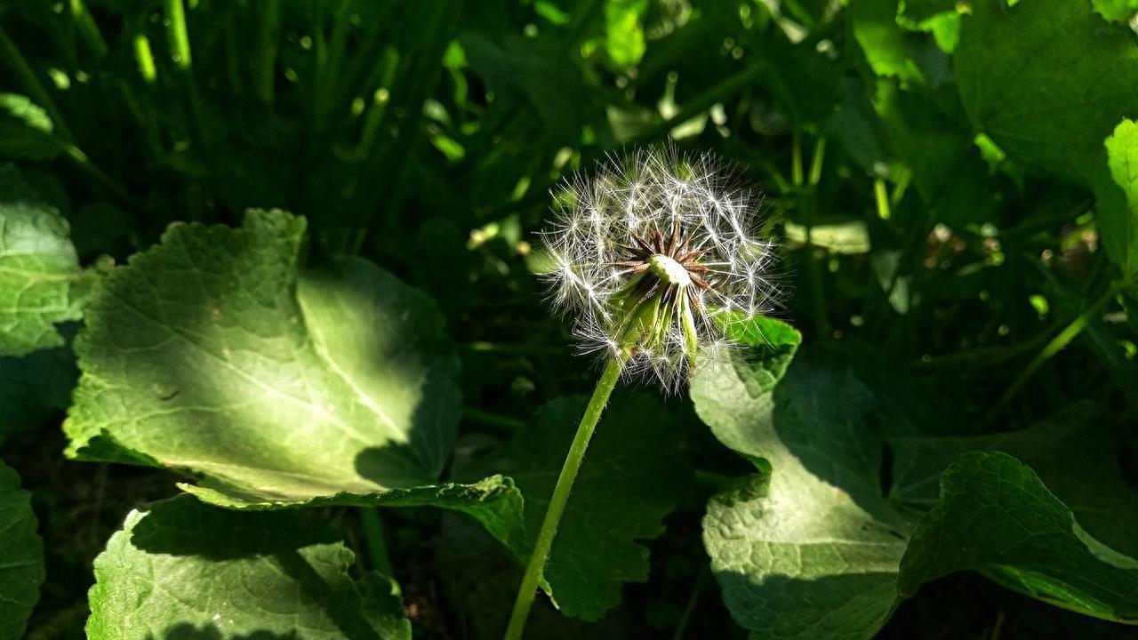 坚持不下去时，看看这12句话。