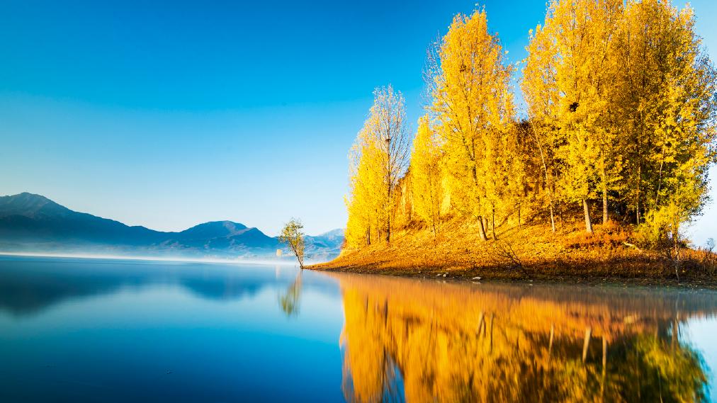 先成家还是先立业