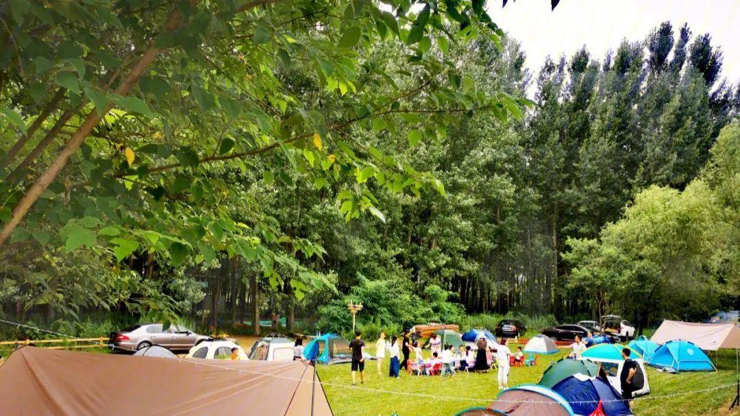 海南三亚游客不幸被蛇咬伤致死，西安热爱户外和露营的人也要当心