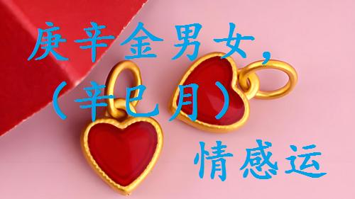 庚辛金男女，2025乙巳年，（辛巳月）情感运