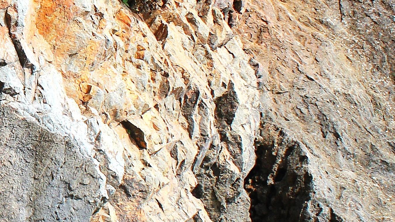 人在职场：既然听不懂，那就憋说了