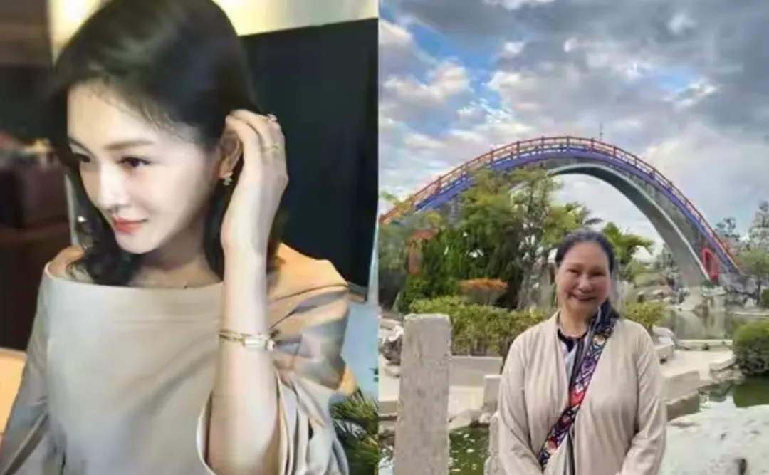 S妈为大S发声，搞得是汪小菲害死她一样
