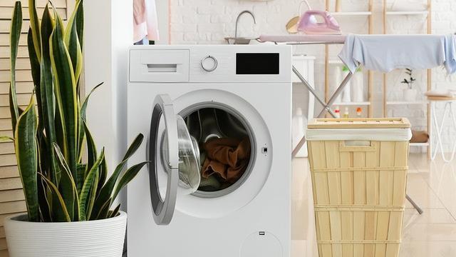 阳台上的3个活祖宗，费水费电又难用，不懂为何还有人摆放