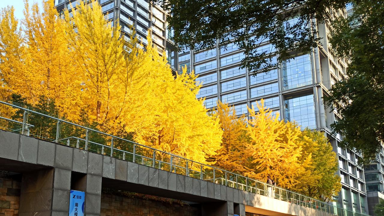 修行篇章：心性之惑在尘世中照见本真