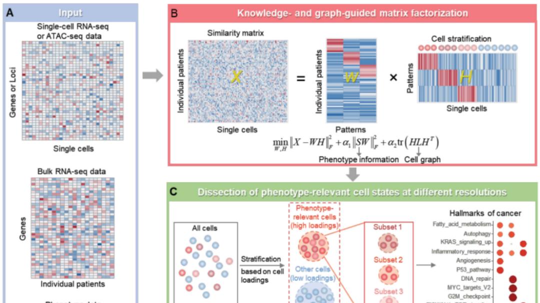 单细胞和bulk整合谁最强？scAB和Scissor