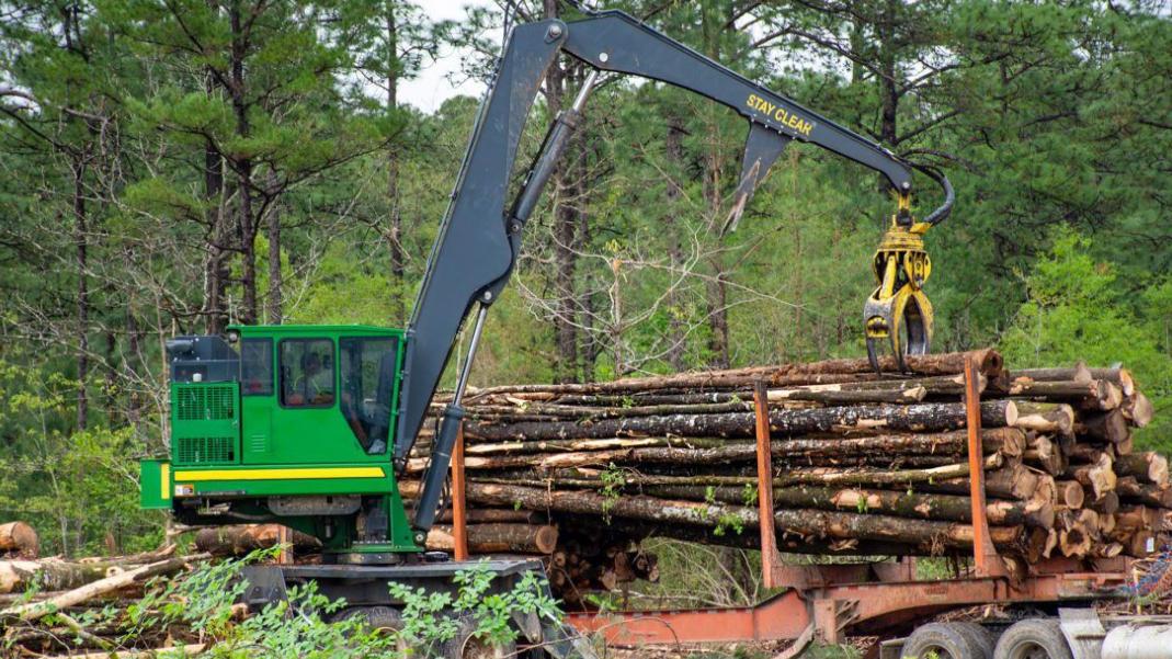 木材价格下跌，但这地林业仍创收740亿！