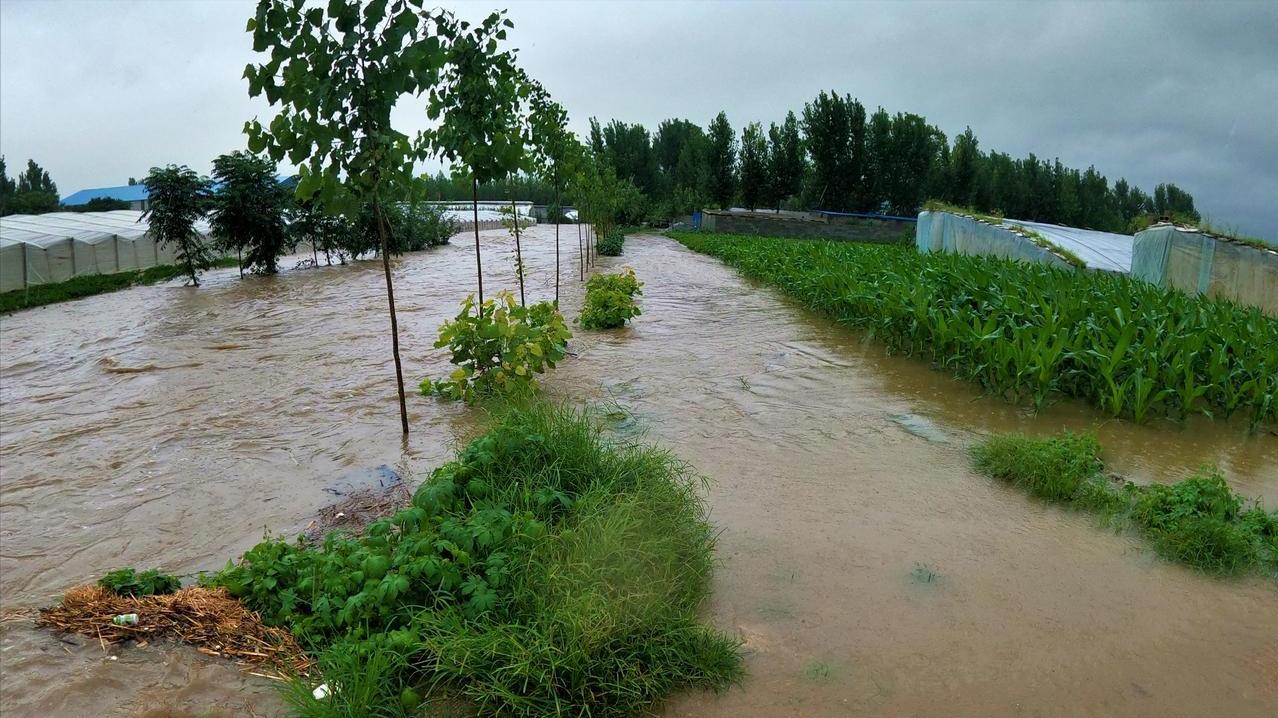 “越努力，越幸运”，这句话说得对吗？