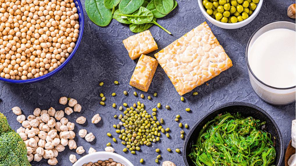 弗洛莱蛋白肽，为身体按下营养“快充”键