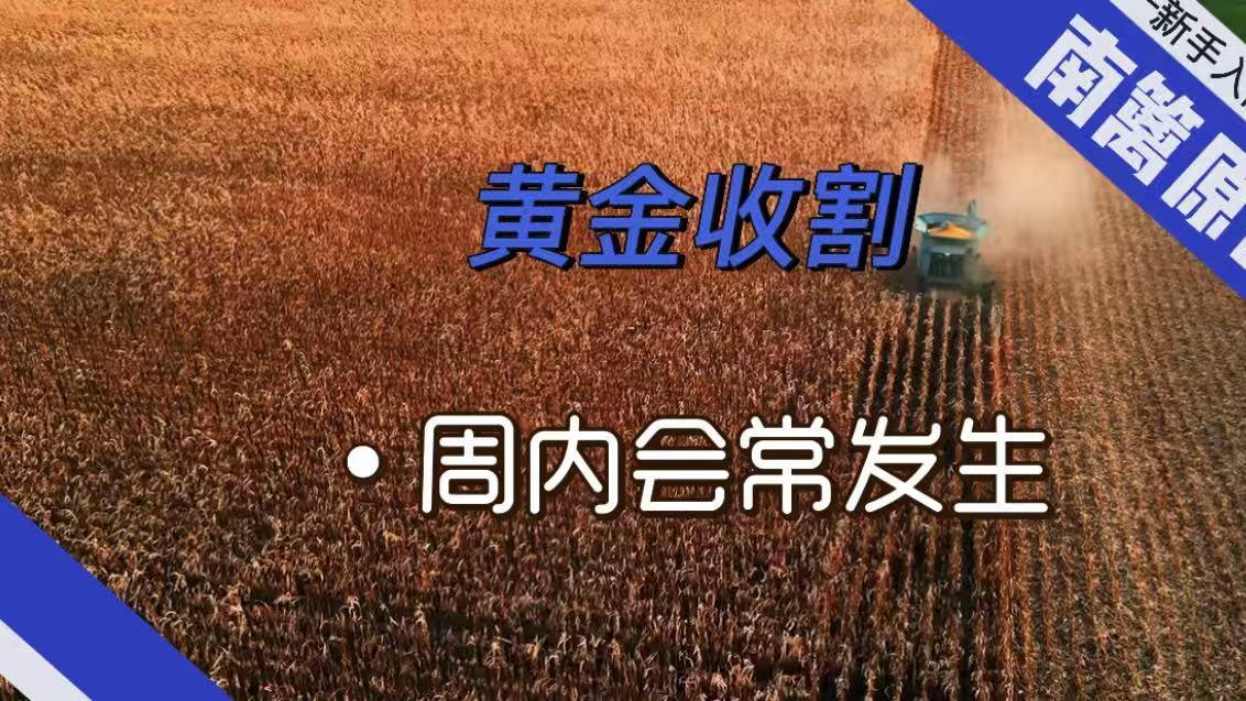 【南篱/黄金】收割第一刀，周内不会少