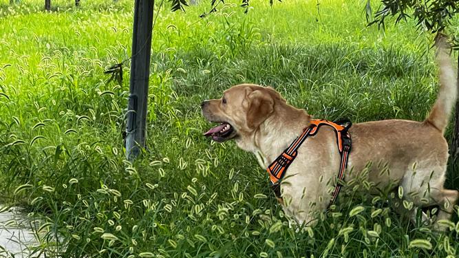 解锁热搜新维度：稀缺信息与破圈力的关键作用