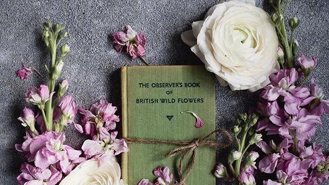 2025很有趣的万圣节祝福语，简短精辟，拿去发朋友圈！