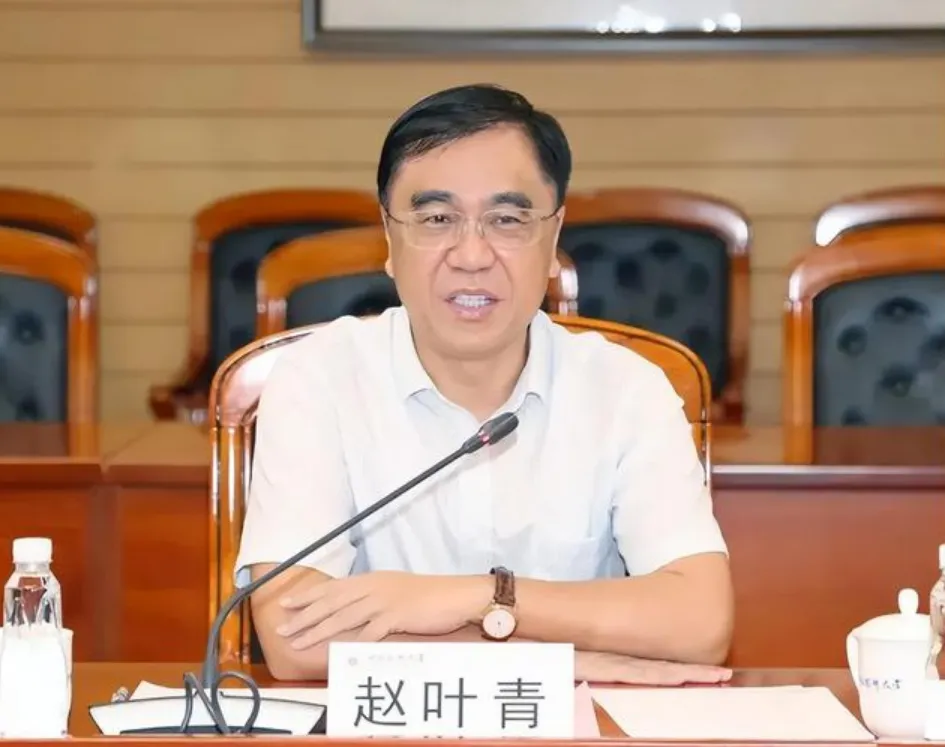 董事长炒自家股票亏损739万被罚150万