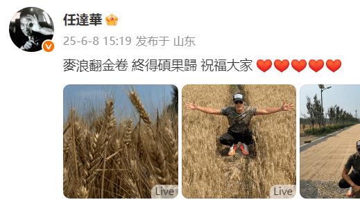 七旬影帝田间寻根：任达华山东麦收的文化乡愁