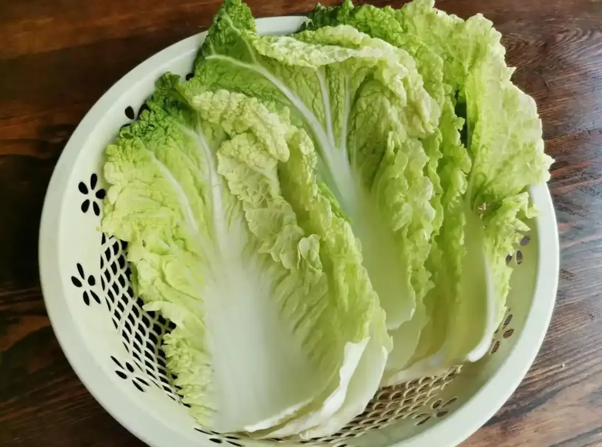 白菜猪肉炖粉条怎么做？牢记3点，出锅香味浓郁，天天吃都不腻