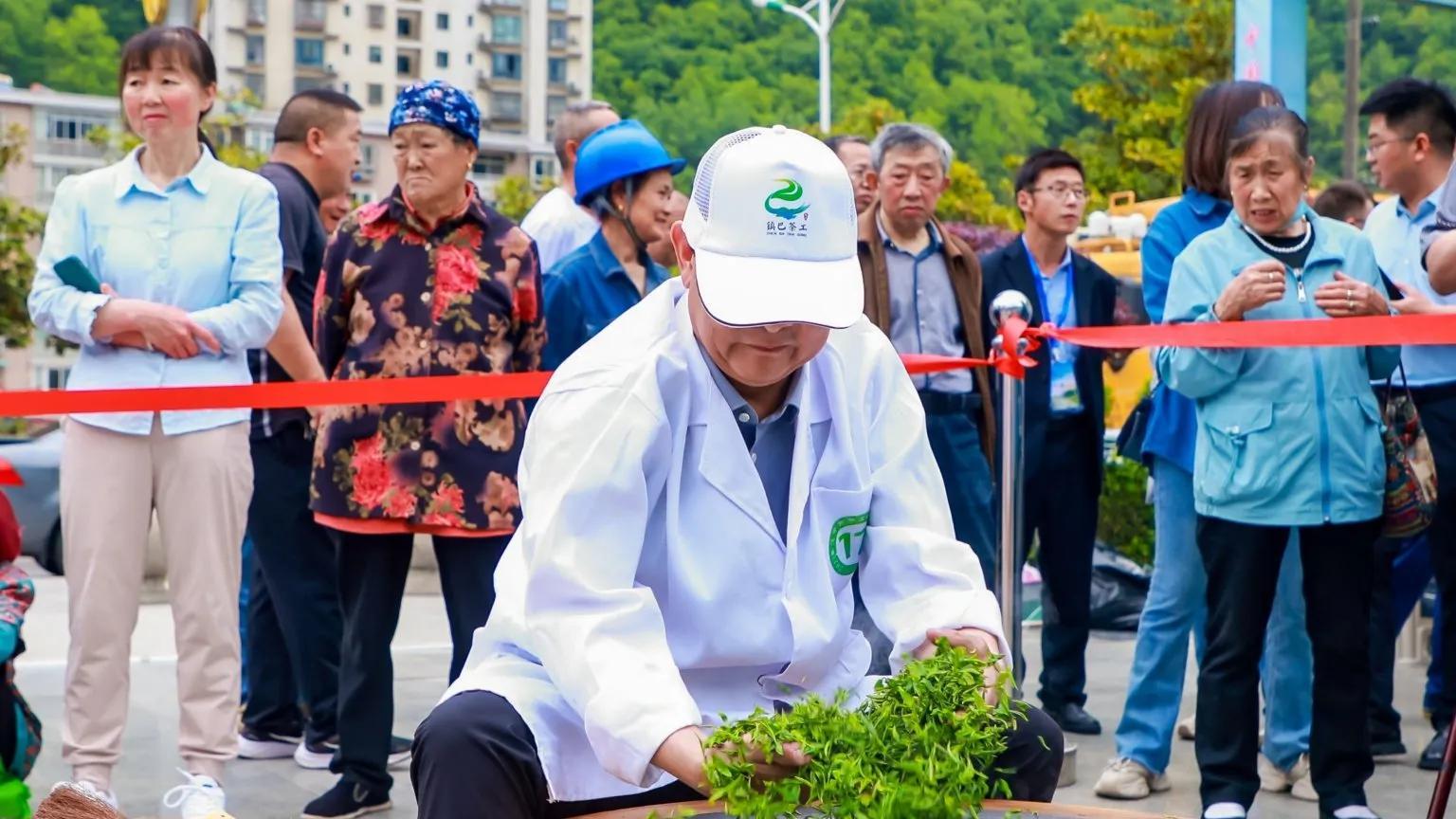 镇巴茶叶：匠心打造的绿色传奇