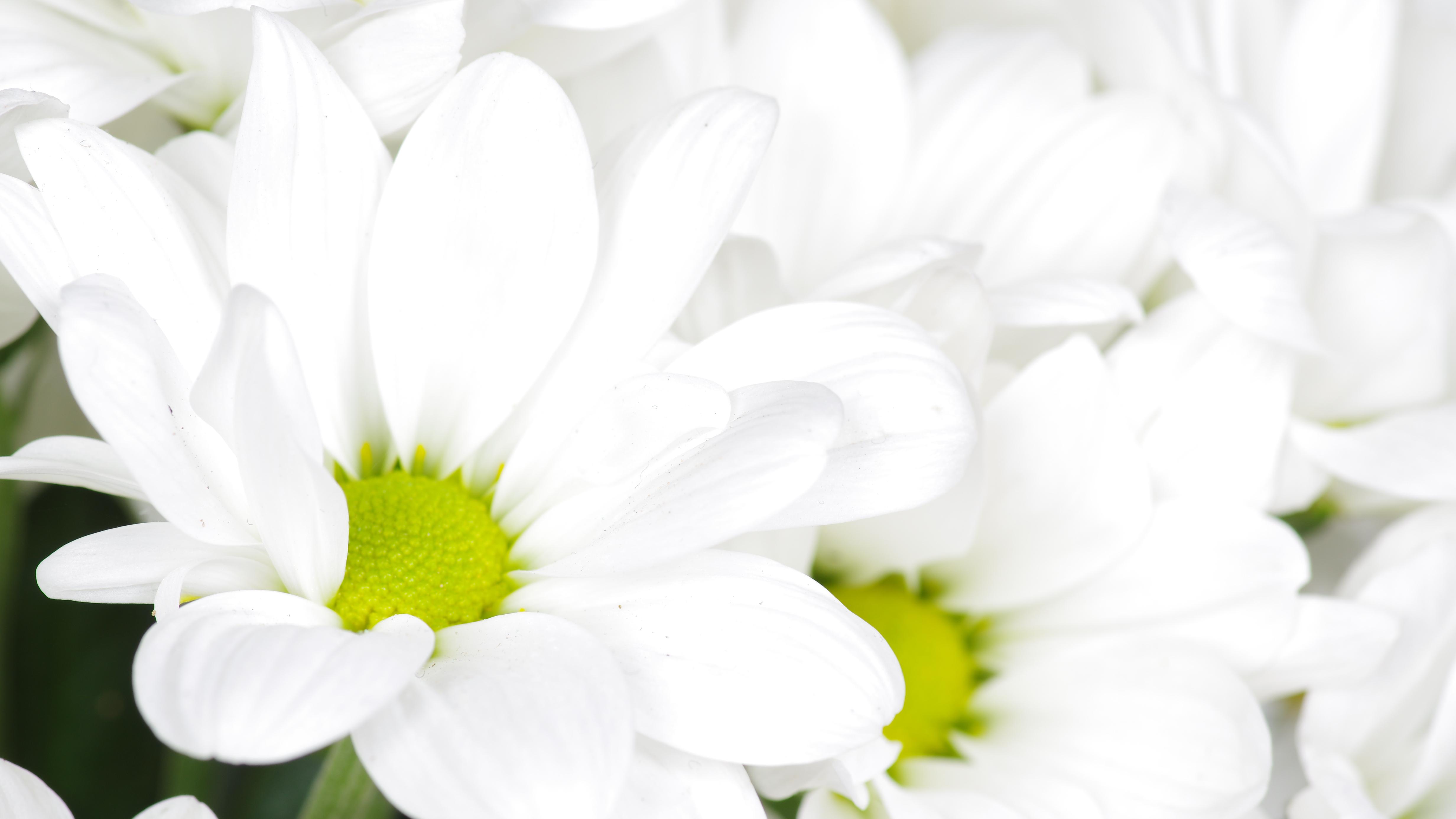 “航母级”耐心资本起航了