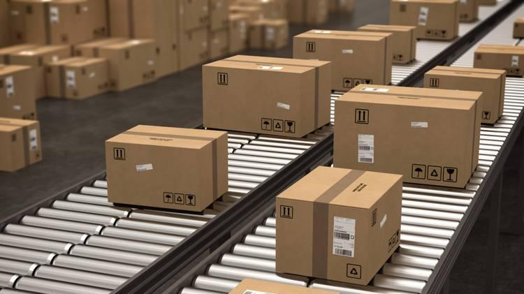 如何在评级过程中保证钱币品相？