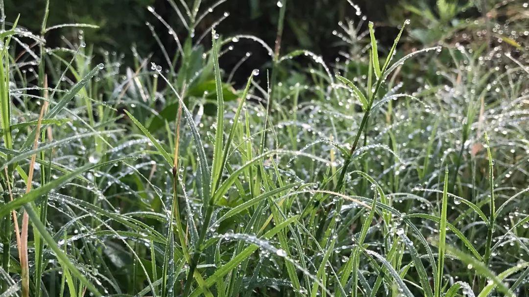 你若善待一切，就被一切善待