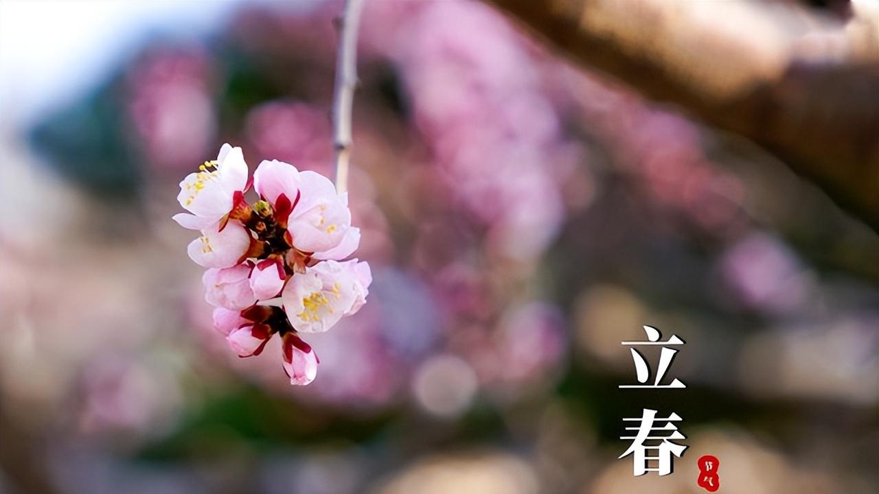 “一年两个春，寡妇遍地分”，是什么意思？2025刚好双春