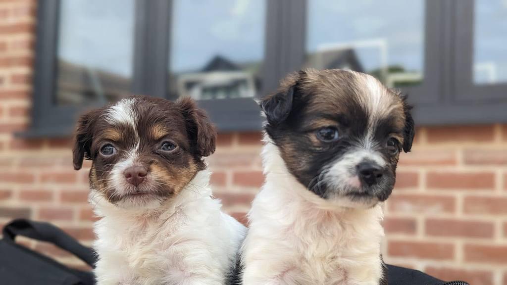 识人辨人该看哪些书