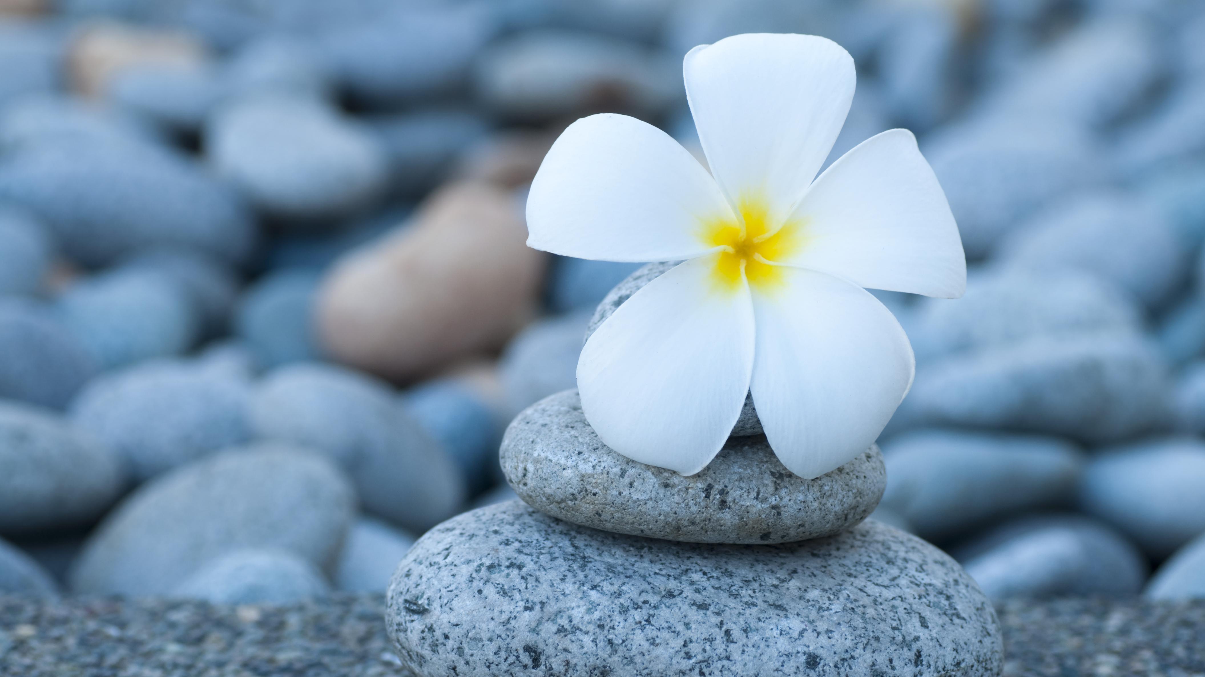 巴西的“低碳+高能”时刻