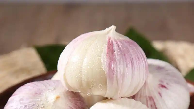 这4种肥料容易滋生根蛆，你都中招了吗？种植大蒜的要注意