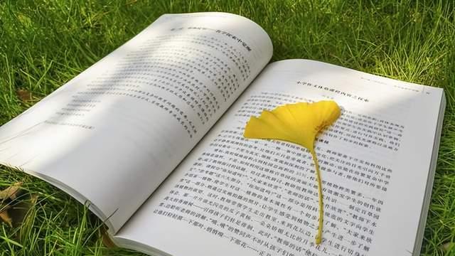 夹在书里的一片树叶
