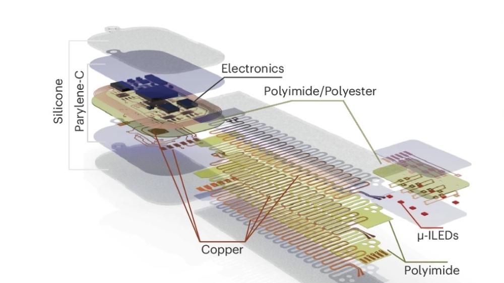 基于 MicroLED 的设备通过光“对话”大脑