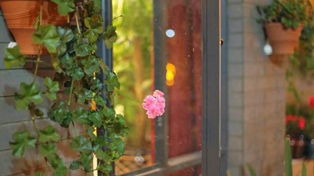 人生有“四大天训”，千万不能违背，很多人就败在了这里